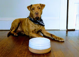 dog bowl