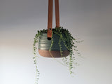 hanging planter