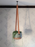 hanging planter