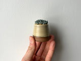 matchstick mini