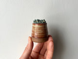 matchstick mini